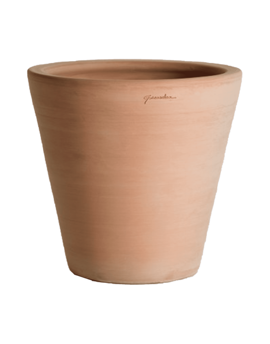 Cuvier Contemporain