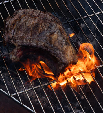 Grille Bonne Anse 100