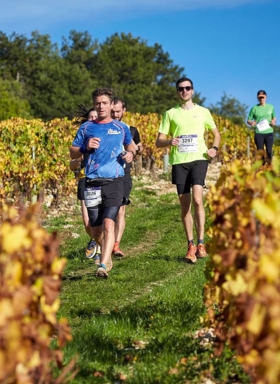 Course dans les vignes