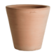 Cuvier Contemporain