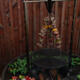 Grille de cuisson