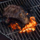 Grille Bonne Anse 100