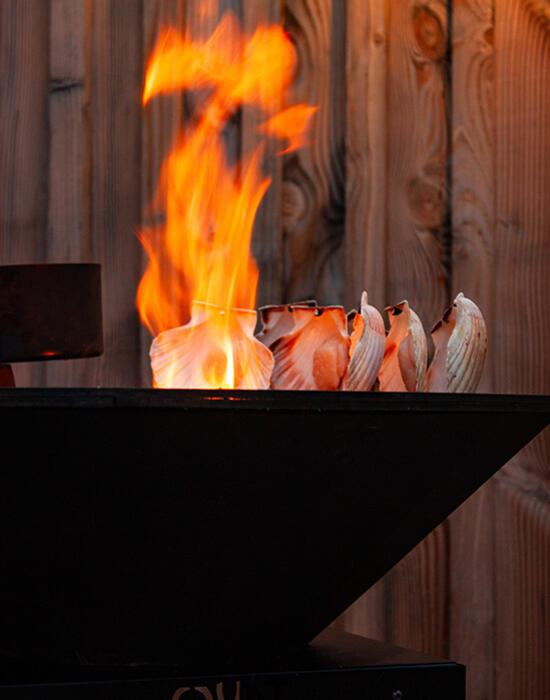 Coquille Saint Jacques - Fenouil - crème citronée