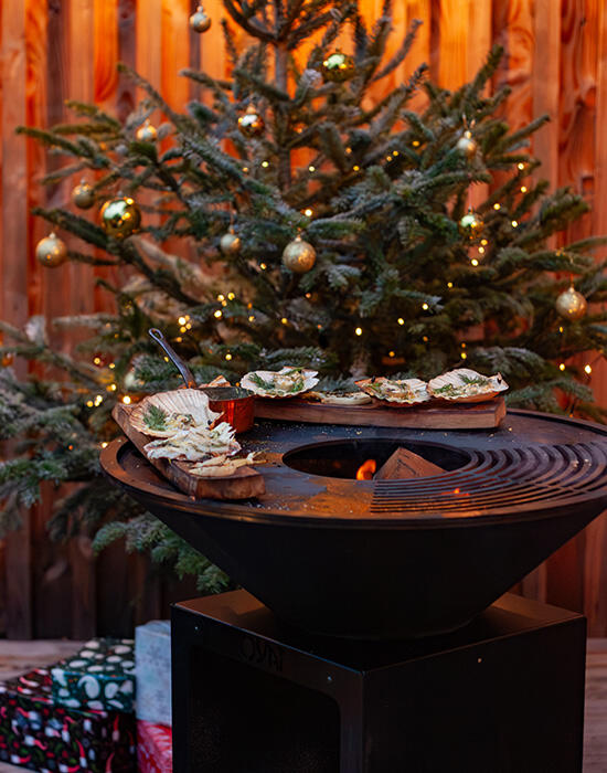 Carpaccio de Saint-Jacques au fenouil & vinaigrette citronnée