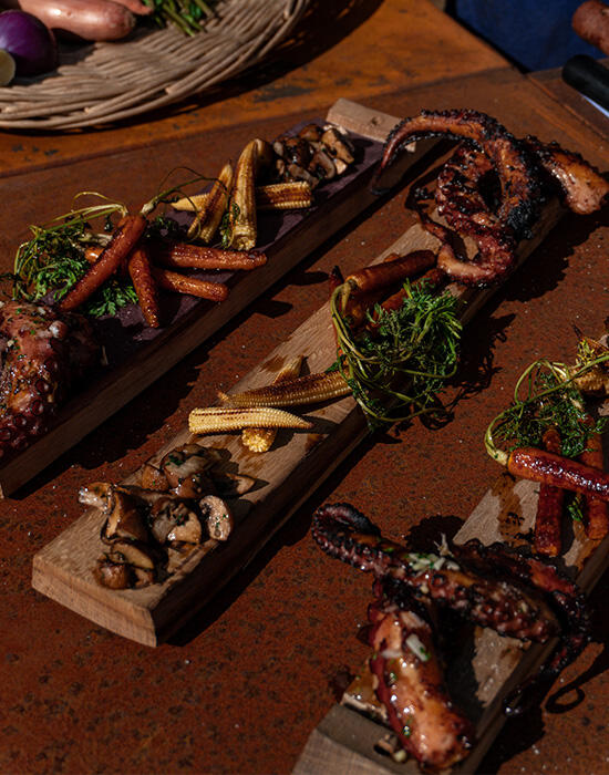 Tentacules de poulpe grillées & crème aux herbes