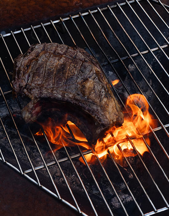 Grille Bonne Anse 100